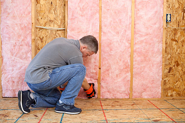 Best Insulation Air Sealing  in Lton, IN